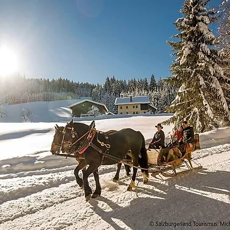 With Shared Pool 2* Sankt Martin am Tennengebirge